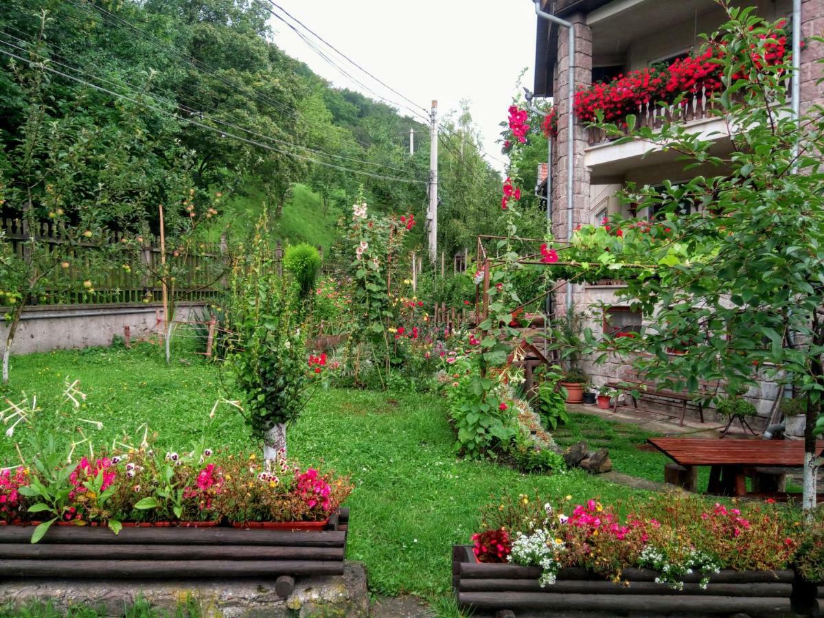 Pensiunea Bordás Panzió Sfântu-Gheorghe